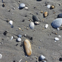 ビーチの石が綺麗