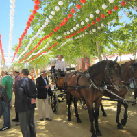 春祭り Granada Feria 3