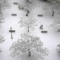 年に数回の雪。グラナダ闘牛場前